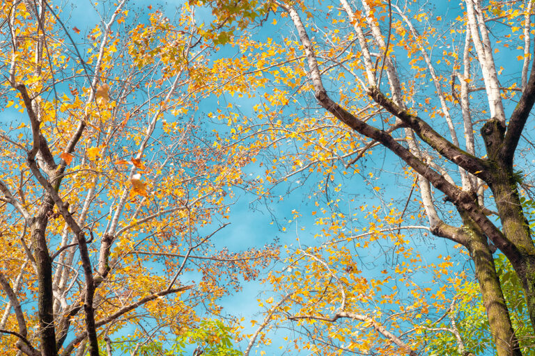 pexels-jimmy-liao-3615017-35795850