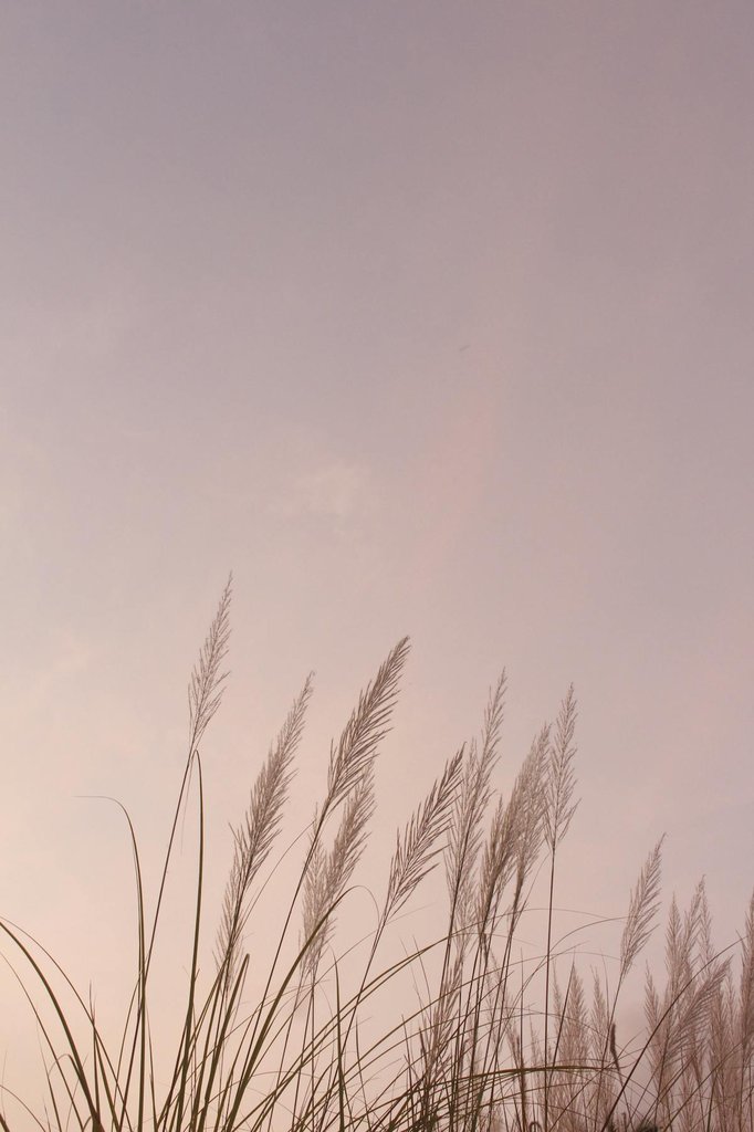 week33_new